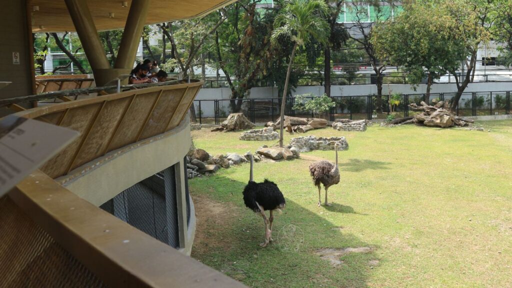 manila zoo review